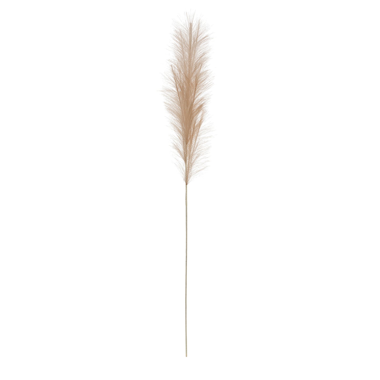 Faux Pampas Grass Plume #130